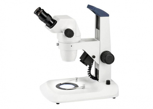 872d1f4c-cf36-11ef-9d2e-000c29e1040d